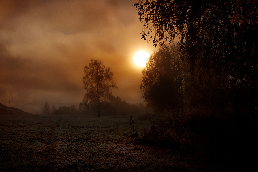 Фото жизнь (light) - LadyGuinevere - корневой каталог - Хмурое утро.