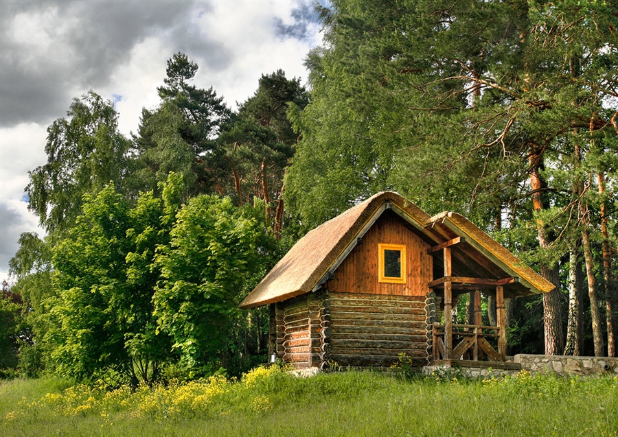 Фото жизнь
