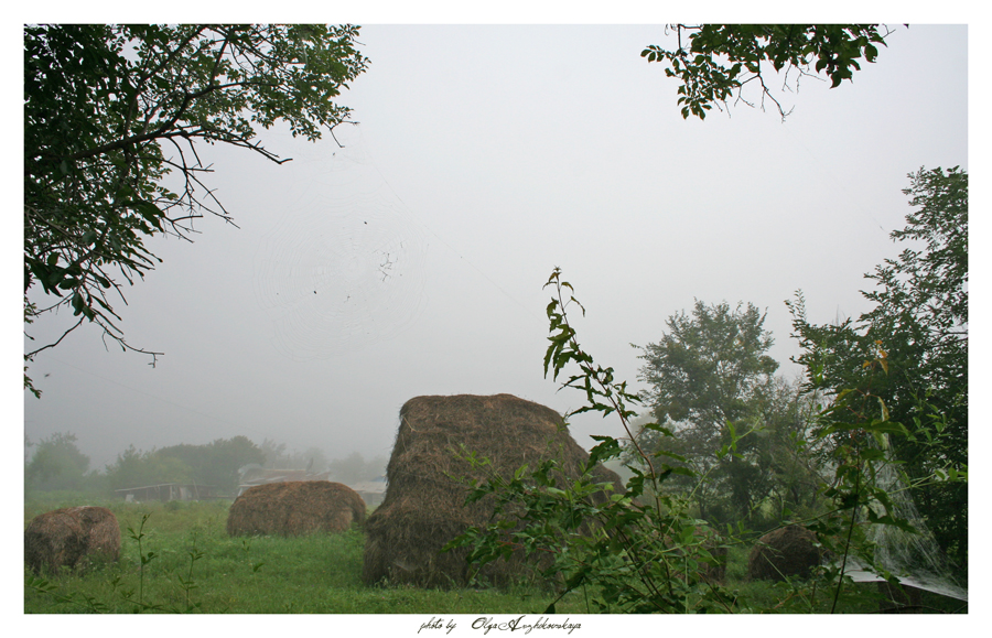 Фото жизнь (light) - Golubka - корневой каталог - Туман в деревне...