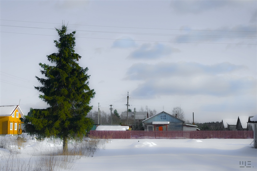 Фото жизнь