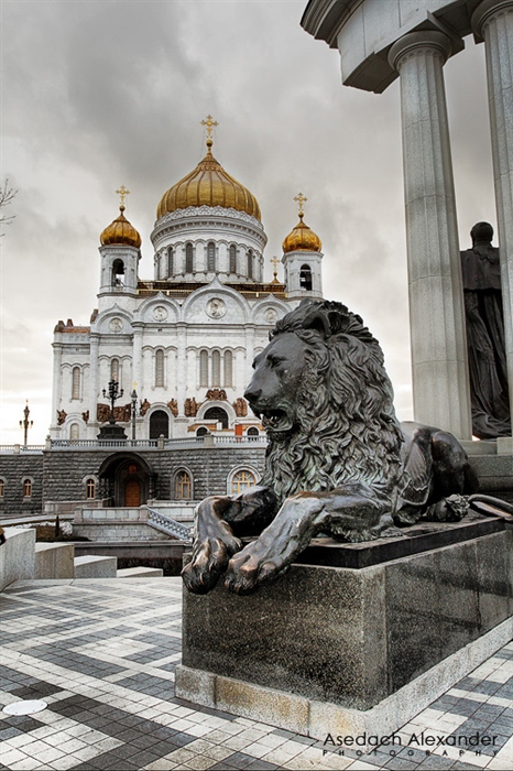 Фото жизнь
