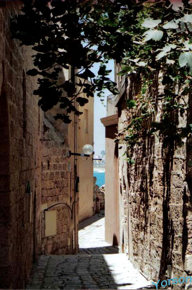 Фото жизнь (light) - NeimanD - корневой каталог - History Yaffo