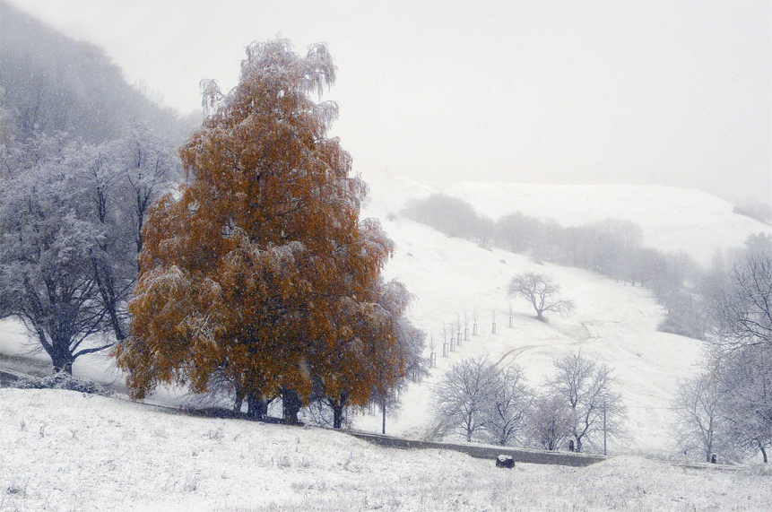 Фото жизнь (light) - mystera - Winter Landschaft. - *** (Рыжик)