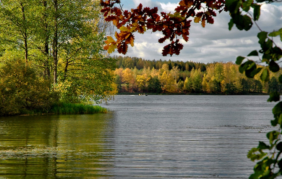 Фото жизнь