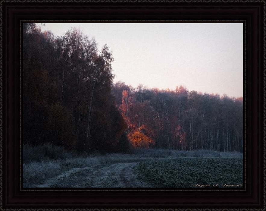 Фото жизнь