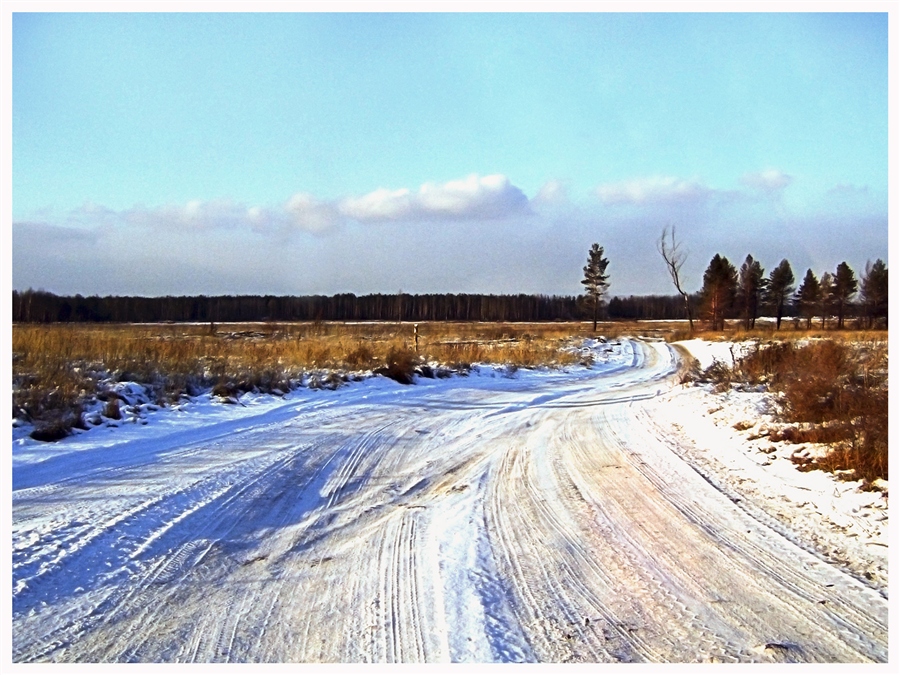 Фото жизнь