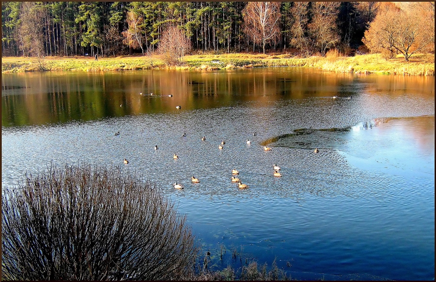 Фото жизнь