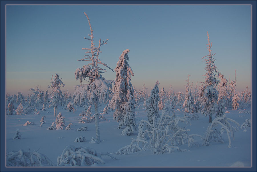 Фото жизнь - Виктор Солодухин - Сказочная зима - Край Вечной Мерзлоты
