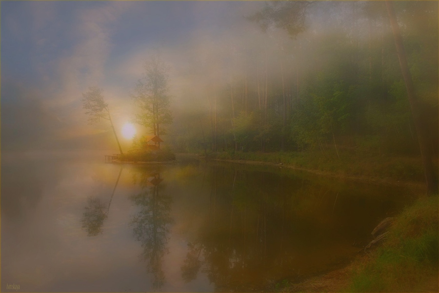 Фото жизнь