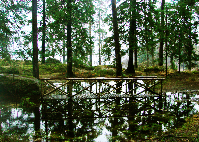 Фото жизнь (light) - Трофимова Кристина - корневой каталог - Вошебное место из сна