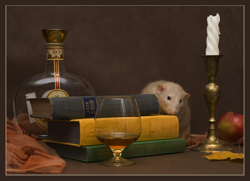 Фото жизнь (light) - Jessy - Alb3. Fancy Rats - Запахи... (или All Inclusive)
