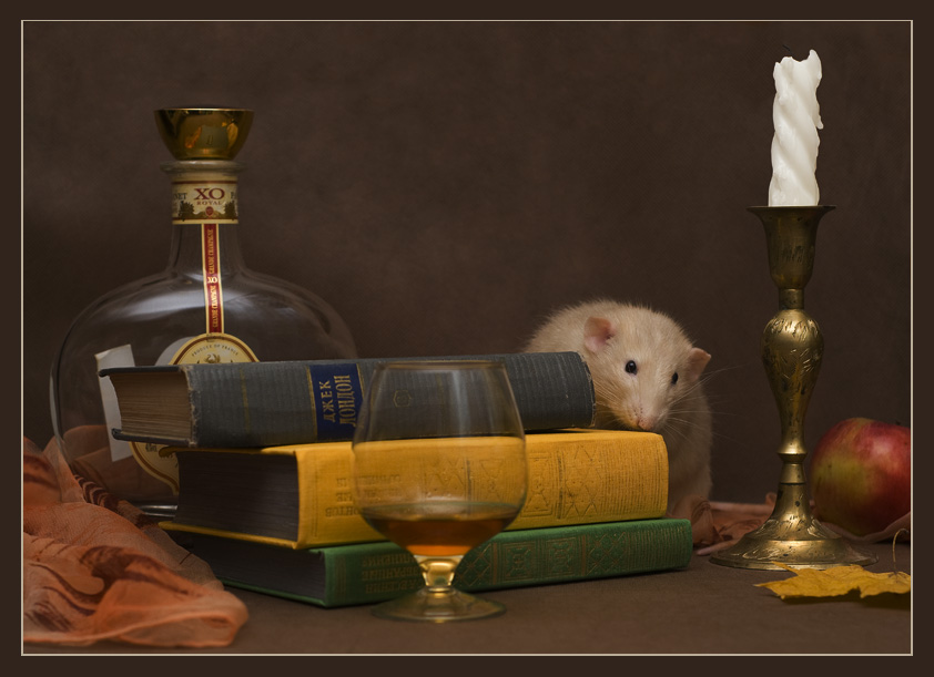 Фото жизнь - Jessy - Alb3. Fancy Rats - Запахи... (или All Inclusive)