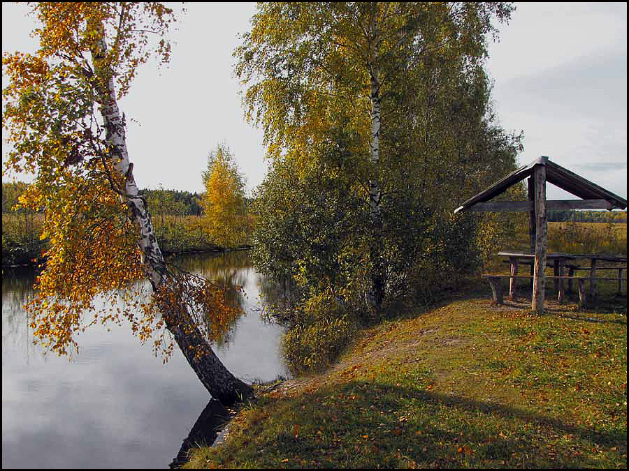 Фото жизнь (light) - SLANA - Осенняя пора... - Краски осени...