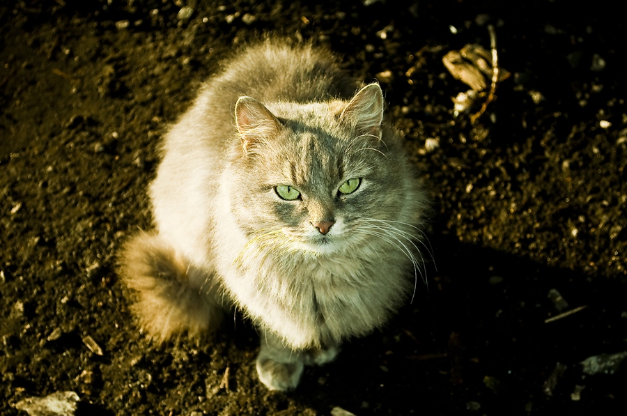 Фото жизнь
