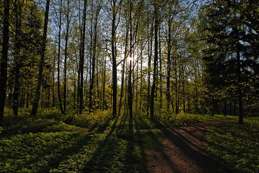Фото жизнь