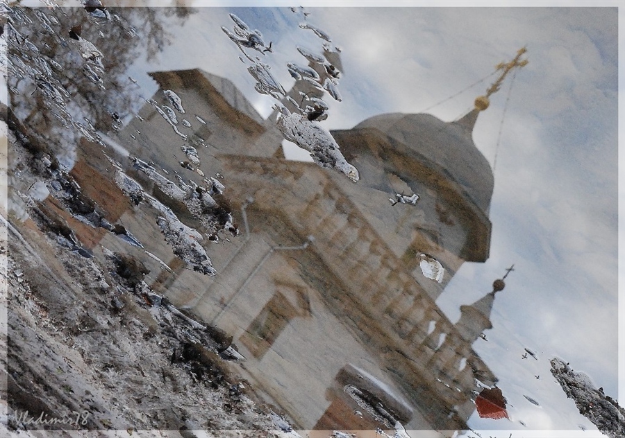 Фото жизнь
