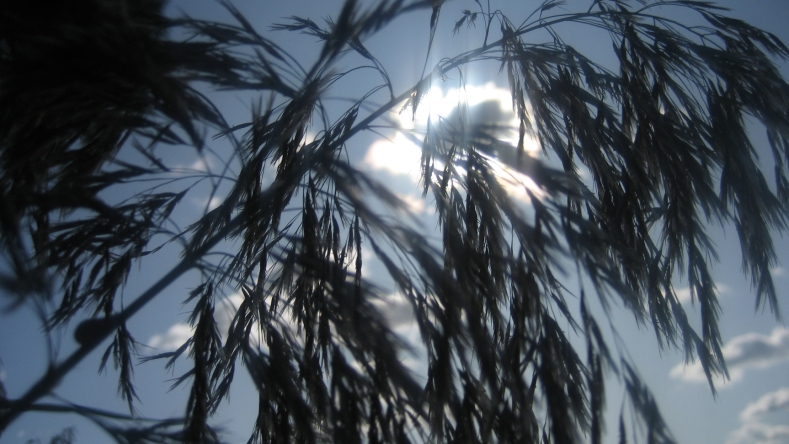 Фото жизнь (light) - Gylchitay - Просто... - Свет и тень