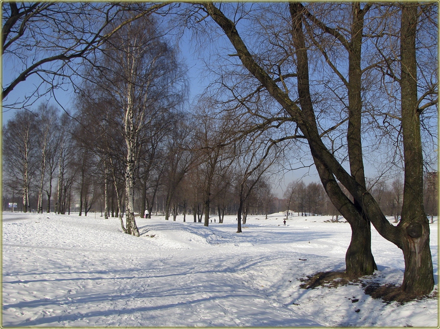 Фото жизнь