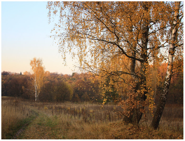 Фото жизнь