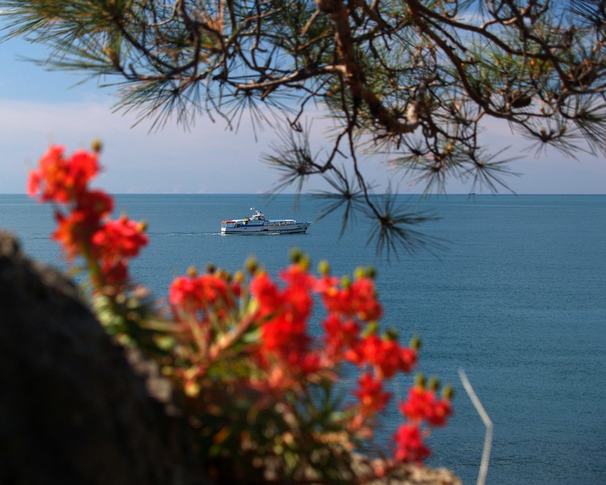 Фото жизнь (light) - OlgaKenga - Крымские каникулы - ах, белый пароход..