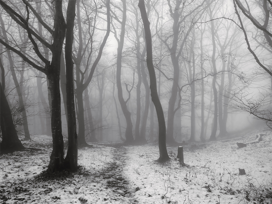 Фото жизнь (light) - mystera - Winter Landschaft. - ***