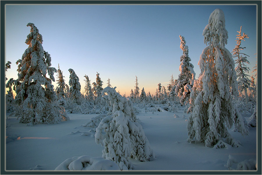 Фото жизнь - Виктор Солодухин - Сказочная зима - Северная тайга