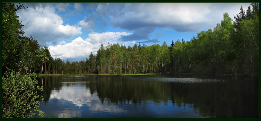 Фото жизнь
