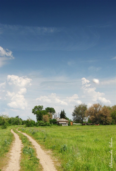 Фото жизнь