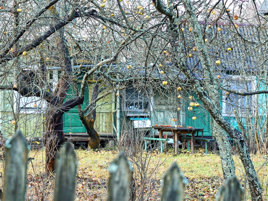 Фото жизнь