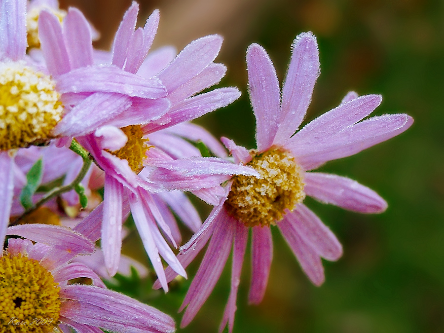 Фото жизнь (light) - Raisa Rare - Моя Запрудня!  - Последний макияж. 