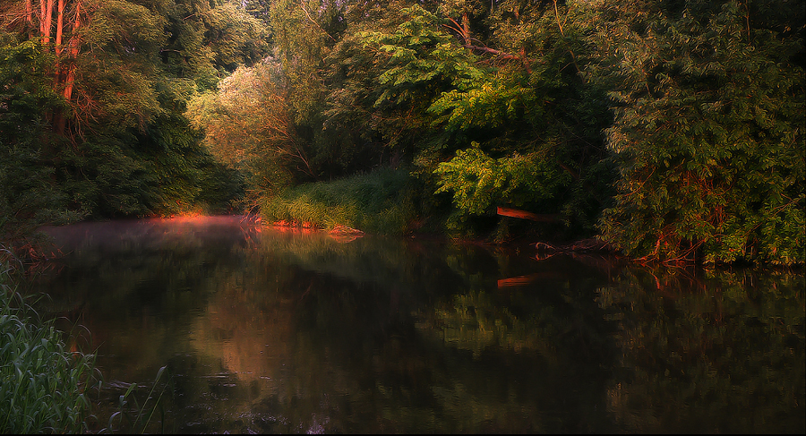Фото жизнь (light) - emunilkin - пейзаж - Поворот реки