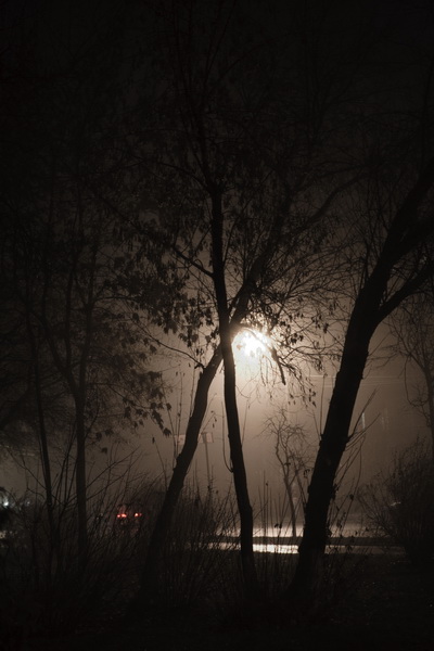 Фото жизнь (light) - Dicobraz - other - УХ