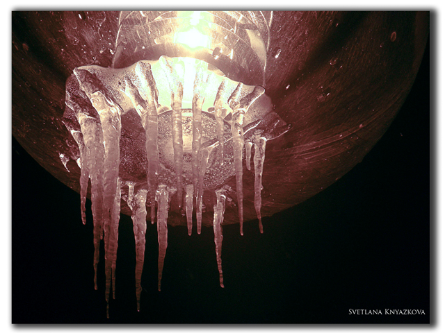 Фото жизнь (light) - svetatolm - корневой каталог - фонарь