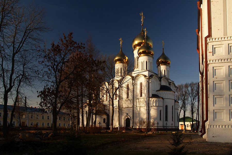 Фото жизнь
