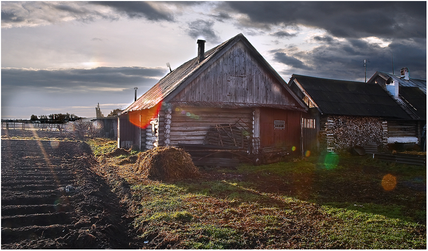 Фото жизнь