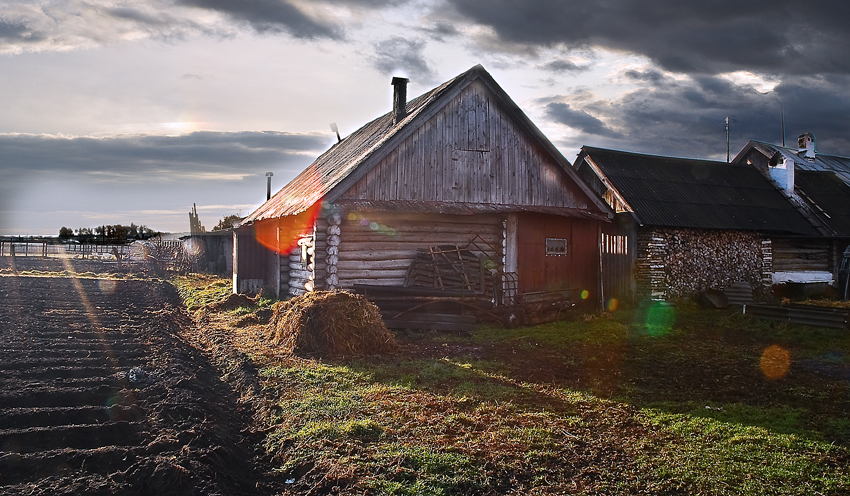 Фото жизнь