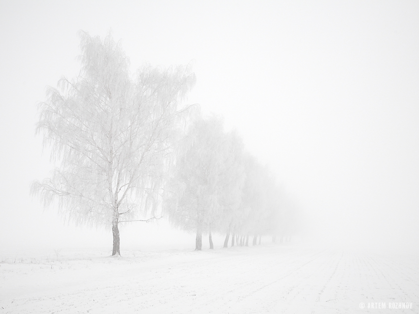 Фото жизнь (light) - Артем Рожнов - мыслеформы  - *