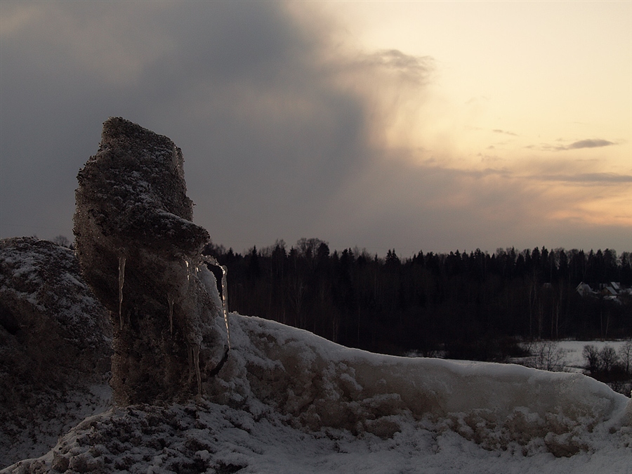 Фото жизнь