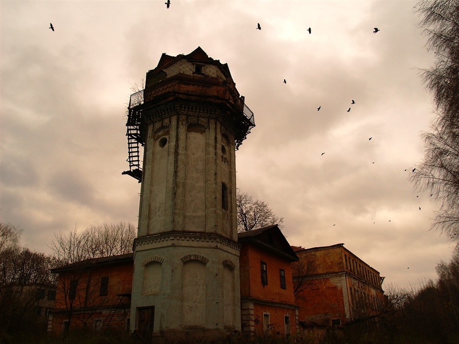 Фото жизнь