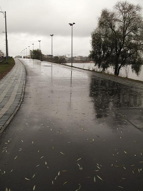 Фото жизнь (light) - AlyonaS - корневой каталог - оз.Средний Кабан