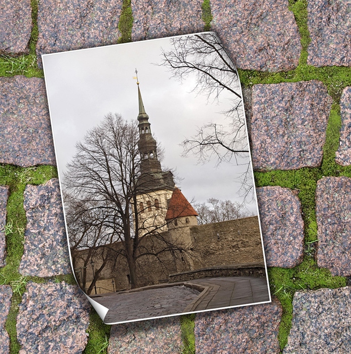 Фото жизнь