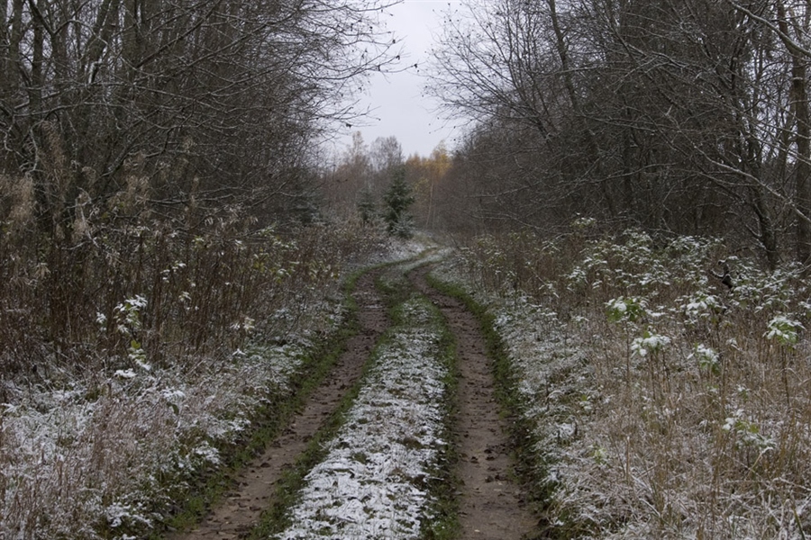 Фото жизнь