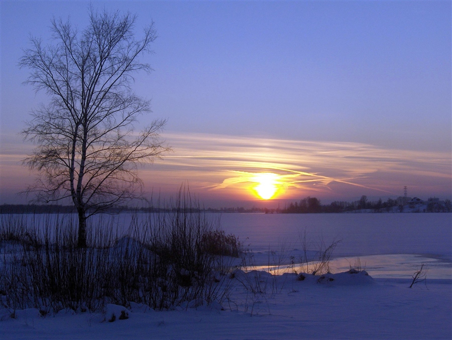 Фото жизнь