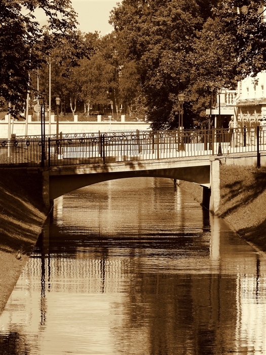Фото жизнь