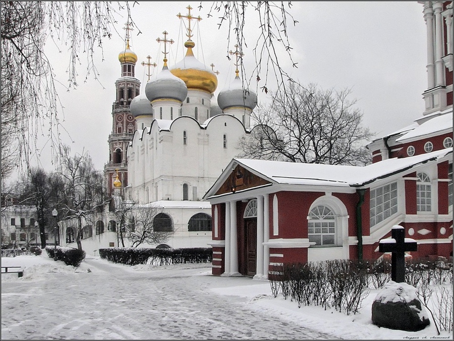 Фото жизнь