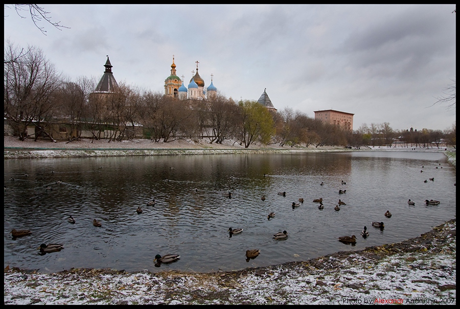 Фото жизнь