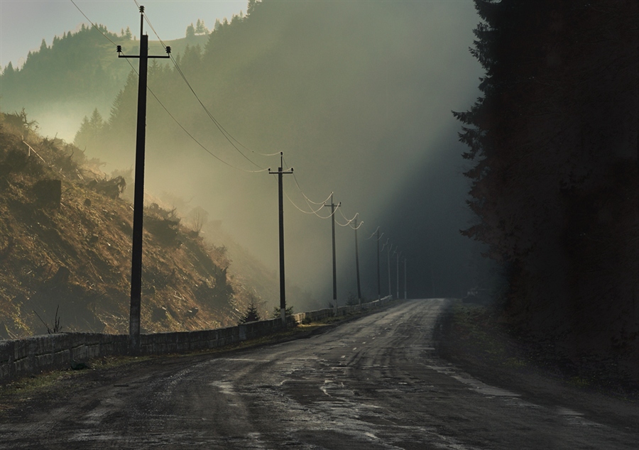 Фото жизнь