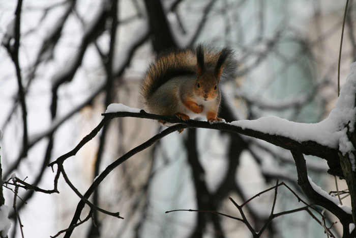 Фото жизнь