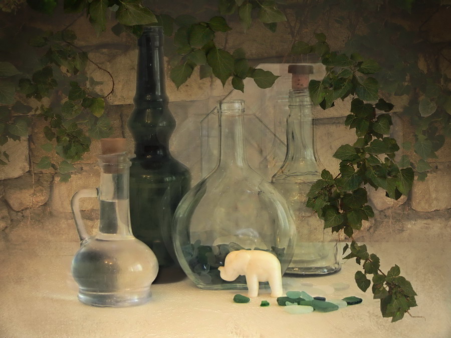 Фото жизнь (light) - breslavskaia - корневой каталог - Слон в посудной лавке...