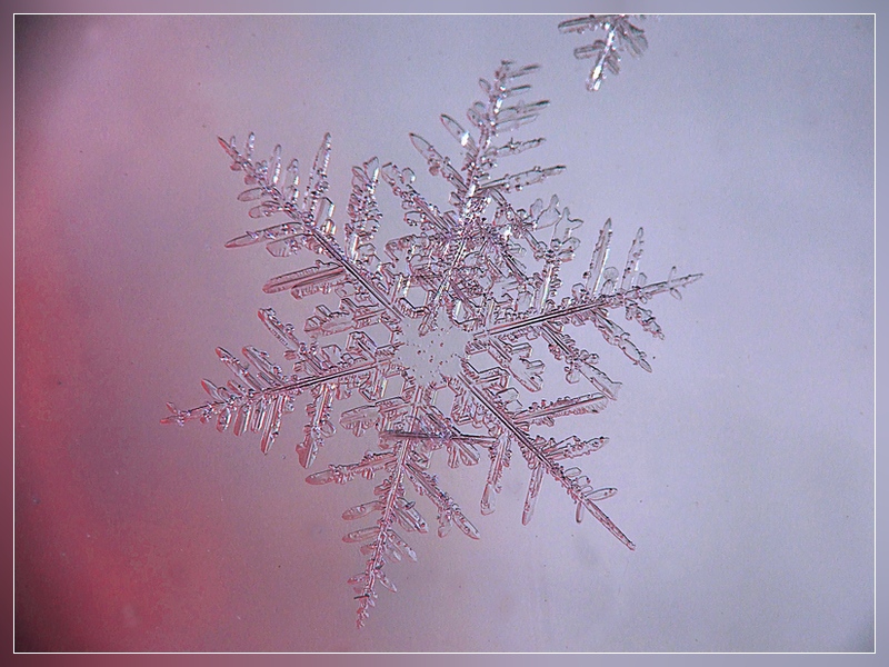 Фото жизнь (light) - Dmitriy_K - капельки, снежинки и т.д. - упавшая звездочка